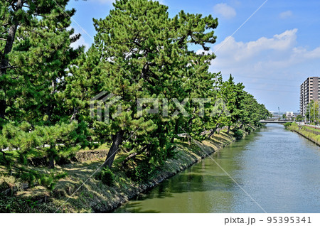 草加宿散歩・おくのほそ道の風景地　草加松原 95395341