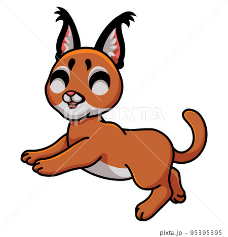 Cute Bobcat Cartoon