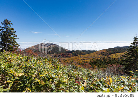 鎌沼－浄土平間の登山道から秋の吾妻小富士を見下ろす 95395689