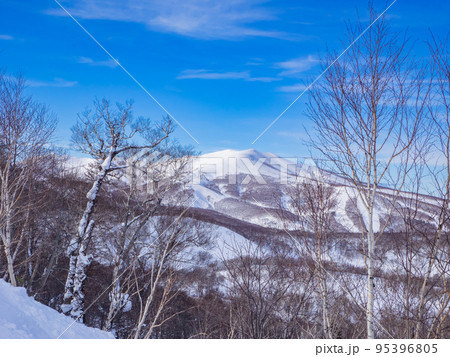 遠くのスキー場を木々の合間から望む  (北海道、ニセコ) 95396805
