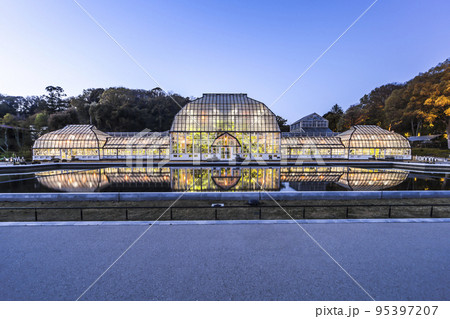 水鏡を見るライトアップされた東山植物園温室 95397207