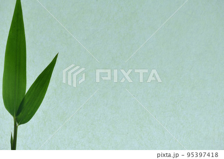 和紙と竹（メダケ）の笹の背景素材 95397418