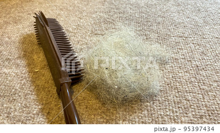ペットの抜け毛をブラシで掃除 ペットの抜け毛をブラシで掃除 95397434