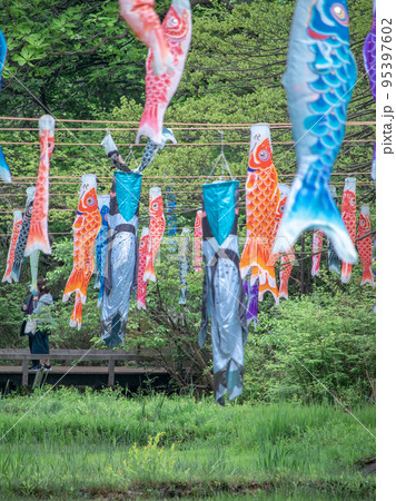 里山の菜の花畑と鯉のぼり 里山の菜の花畑と鯉のぼり 95397602