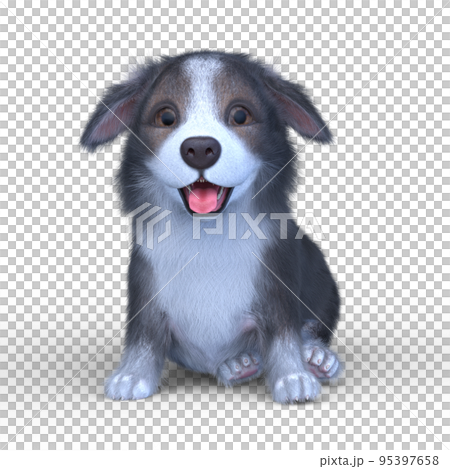 Welsh Corgi Pembroke Welsh Corgi Pembroke 95397658