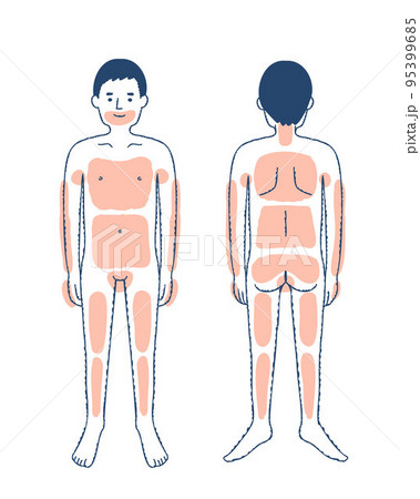 脱毛パーツの説明イラスト　全身　男性 95399685
