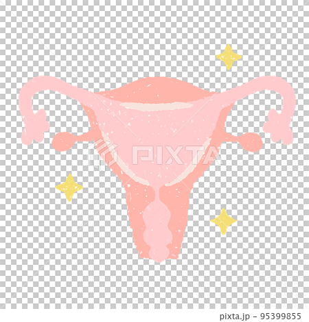 手繪健康子宮圖 手繪健康子宮圖 95399855