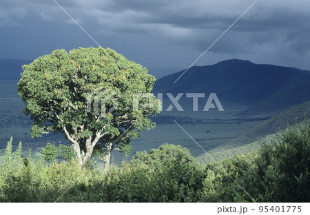 Countryside 95401775