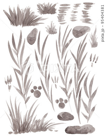 Set of monochrome isolated illustrations of plants and stones Set of monochrome isolated illustrations of plants and stones 95404381
