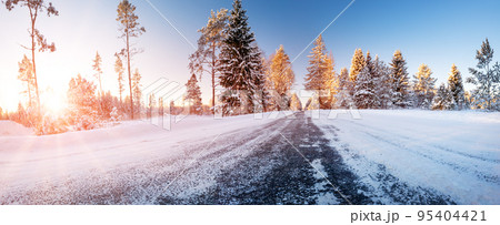 Beautiful winter road in natural sunny park. 95404421