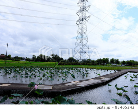 利根親水公園 95405242
