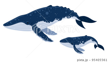 Cartoon blue whales - mother with child. Underwater world, Marine life. Vector illustration of a whale 95405561
