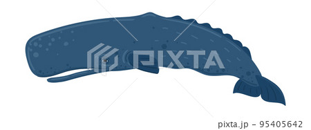 Cartoon whale cachalot, sperm whale. Underwater world, Marine life. Vector illustration of a whale 95405642