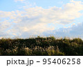 田舎の風景 95406258
