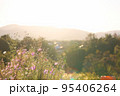 田舎の風景 95406264