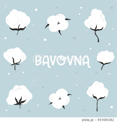 Set of bavovna flowers - cotton in Ukrainian on a blue background 95406382