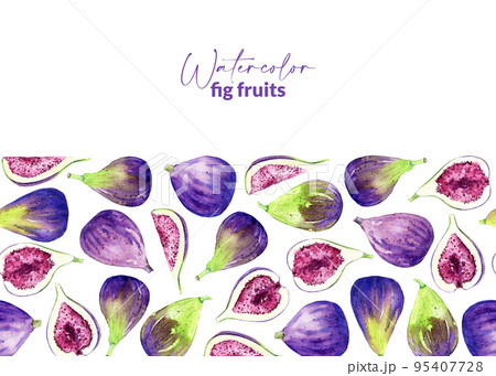 Watercolor hand drawn figs. Illustration of sweet fresh crop. Organic food for label, menu, recipes, packaging. Border with summet fruit harvest. 95407728