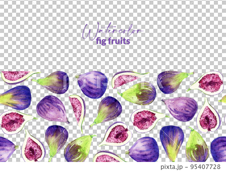 Watercolor hand drawn figs. Illustration of sweet fresh crop. Organic food for label, menu, recipes, packaging. Border with summet fruit harvest. 95407728