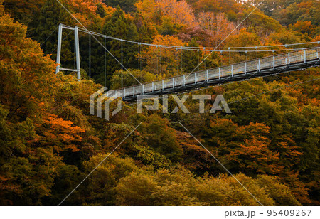 やまびこ吊り橋の紅葉 やまびこ吊り橋の紅葉 95409267