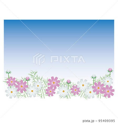 秋晴れのコスモス畑の風景フレーム・枠 秋晴れのコスモス畑の風景フレーム・枠 95409395