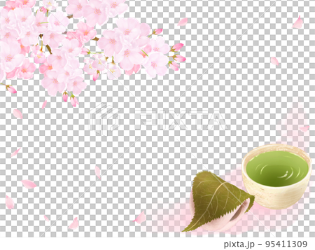 桜の木と花びらーお茶と柏餅の和風イラストセットー手描き素材 95411309