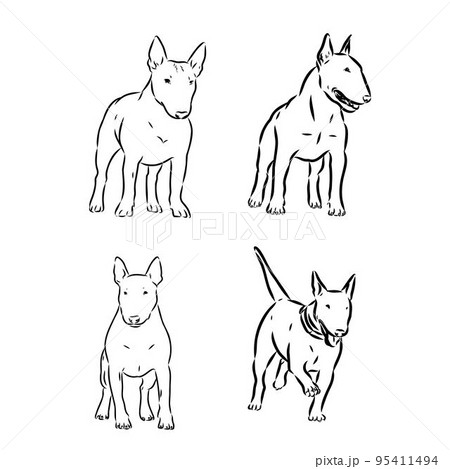 Cute bull terrier dog sketch. Vector illustration in hand-drawn style. Image for printing on any surface Cute bull terrier dog sketch. Vector illustration in hand-drawn style. Image for printing on any surface 95411494