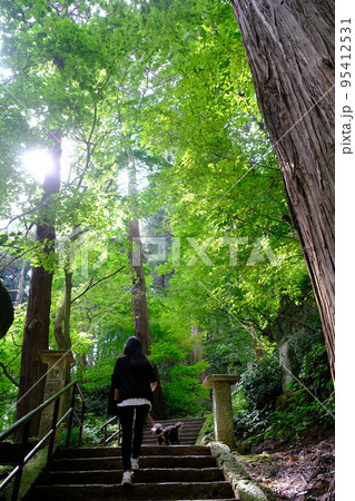 光が差している森の中を犬と散歩する女性のポートレート 95412531