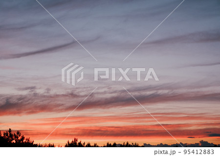 Scenery. Photo of the evening sky. Crimson yellow clouds against a blue sky at sunset before a thunderstorm. 95412883