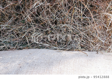Vintage natural background. The texture of sackcloth and hay. Vintage natural background. The texture of sackcloth and hay. 95412888