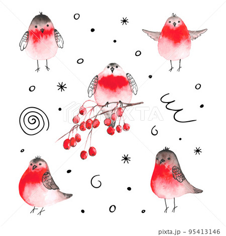 Watercolor bullfinch and rowan berrys. Watercolor bullfinch and rowan berrys. 95413146