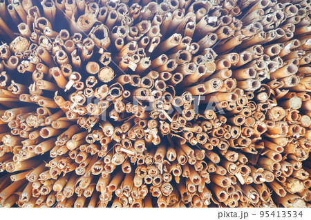 Texture, background. Butt, a cut of an old reed. Reed roof edge. The texture of the thatched roof Texture, background. Butt, a cut of an old reed. Reed roof edge. The texture of the thatched roof 95413534