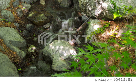 小川のせせらぎ 95413585