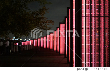 横浜みなとみらいの公園のイルミネーションの夜景 横浜みなとみらいの公園のイルミネーションの夜景 95413646
