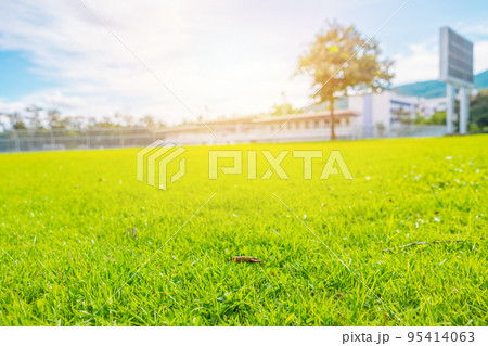 beautiful summer green grass lawn for sports soccer or rugby field with stadium seats and scoreboard background 95414063