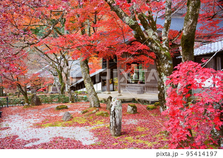 紅葉に彩られた永源寺（滋賀県東近江市） 95414197
