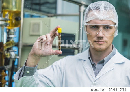 Scientist worker with Dried Hemp flowers in medicine factory. CBD oil extraction Laboratory Plants Technician. 95414231