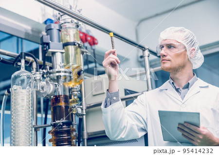 Scientist worker with Dried Hemp flowers in medicine factory. CBD oil extraction Laboratory Plants Technician. Scientist worker with Dried Hemp flowers in medicine factory. CBD oil extraction Laboratory Plants Technician. 95414232