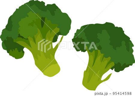 ブロッコリーのイラスト素材とベクター ブロッコリーのイラスト素材とベクター 95414598