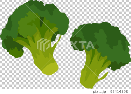 ブロッコリーのイラスト素材とベクター ブロッコリーのイラスト素材とベクター 95414598