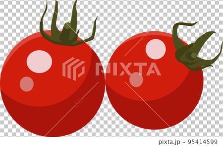 夏野菜のプチトマトのイラスト素材 ベクター 夏野菜のプチトマトのイラスト素材 ベクター 95414599