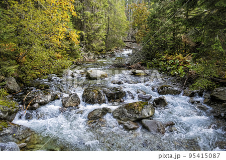 Scenery of brook in Dill valley, High Tatras mountain, Slovakia 95415087