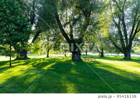 Wooden Bench in the Toronto Islands Park Centre Island. Toronto, Ontario, Canada. Wooden Bench in the Toronto Islands Park Centre Island. Toronto, Ontario, Canada. 95416136