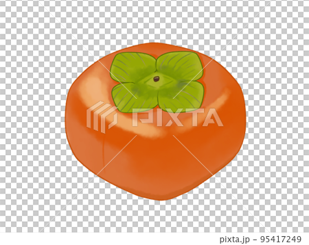 persimmon autumn fruit persimmon autumn fruit 95417249