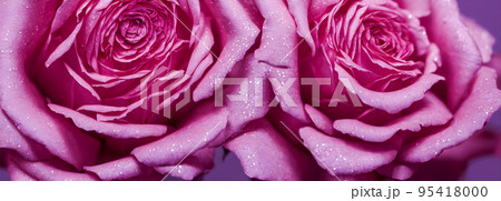 Colorful flower bouquet from red roses for use as background. Banner size.3d 95418000