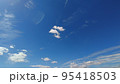 秋の青空に浮かぶ白い雲 95418503