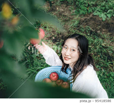 リンゴを収穫している女性 95418586