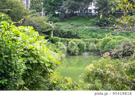 新見附濠とJR線路／東京都新宿区 95419818