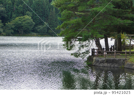 早朝の静かな大きな沼 早朝の静かな大きな沼 95421025