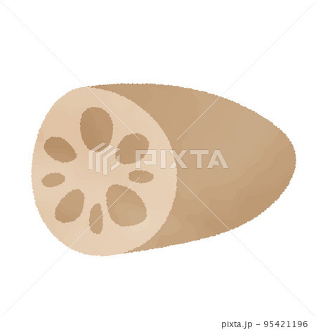 水彩風 レンコンのイラスト素材 水彩風 レンコンのイラスト素材 95421196