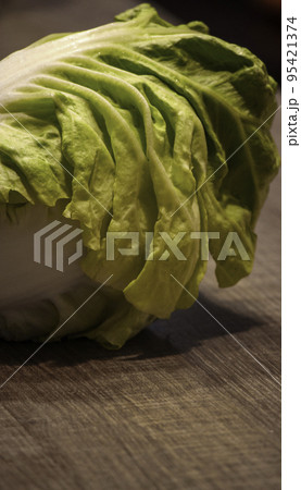 キャベツ きゃべつ 甘藍 95421374